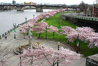 Waterfront_Park_Portland